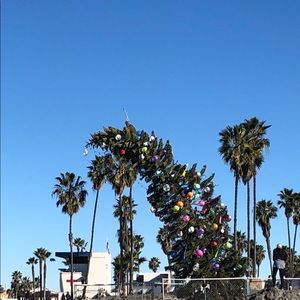 Meet your Posher, Tessa